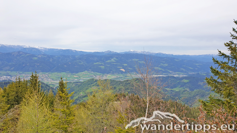 Brandnerberg/Grabenbauerhöhe/Schwarzkogel Abbildung 14