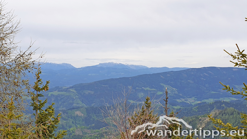 Brandnerberg/Grabenbauerhöhe/Schwarzkogel Abbildung 15