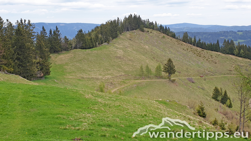 Brandnerberg/Grabenbauerhöhe/Schwarzkogel Abbildung 17