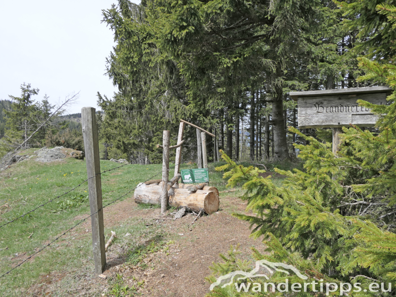 Brandnerberg/Grabenbauerhöhe/Schwarzkogel Abbildung 5