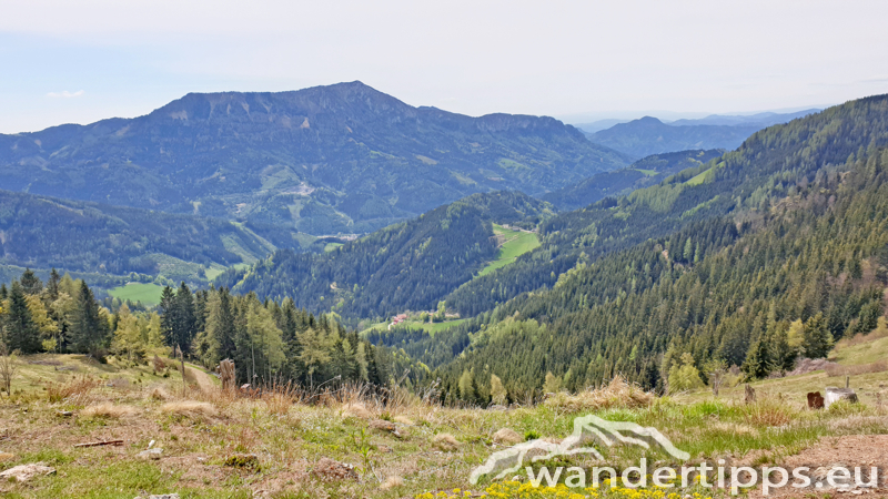 Brandnerberg/Grabenbauerhöhe/Schwarzkogel Abbildung 7