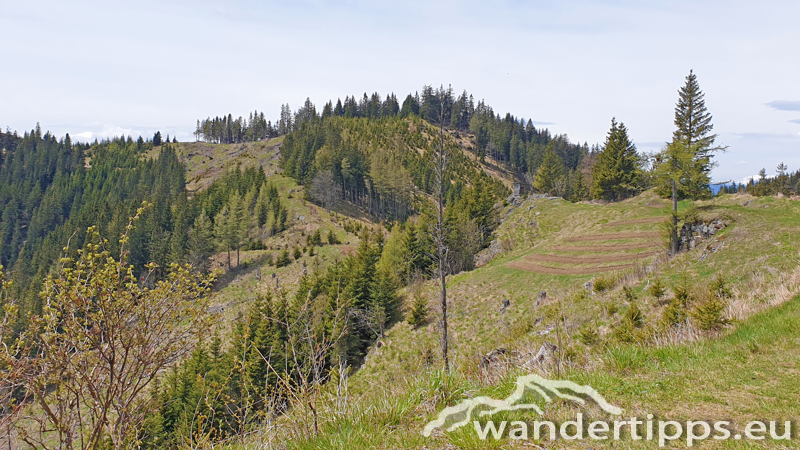 Brandnerberg/Grabenbauerhöhe/Schwarzkogel Abbildung 8