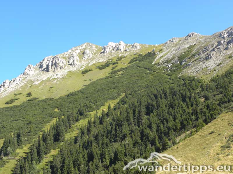 Hohe Veitsch von Norden Abbildung 4