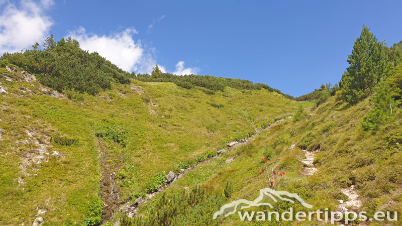 Krugsee Abbildung 14