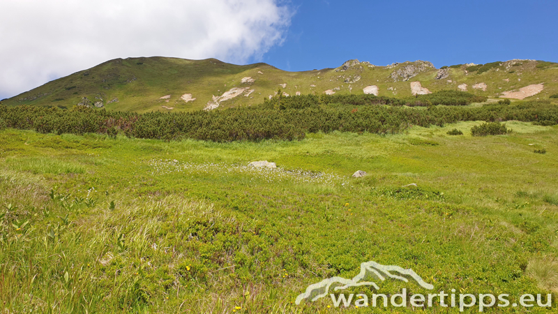 Krugsee Abbildung 16