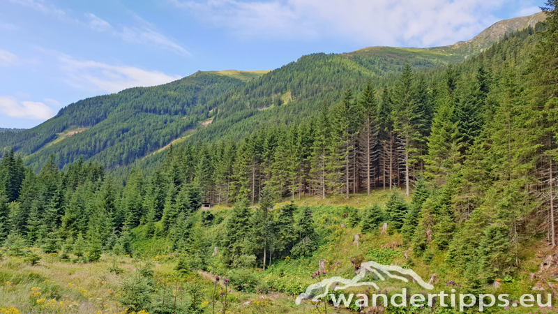 Krugsee Abbildung 22