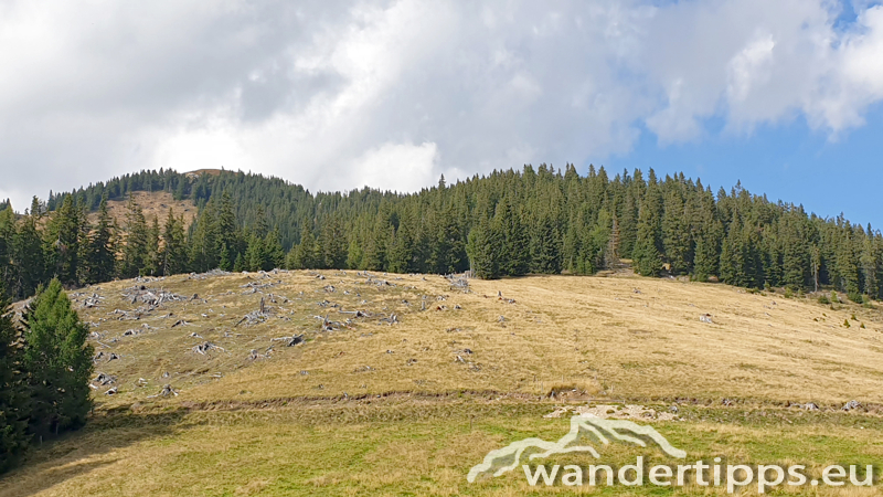 Rosenkogel/Lahneck Abbildung 2