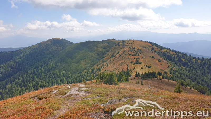 Rosenkogel/Lahneck Abbildung 19