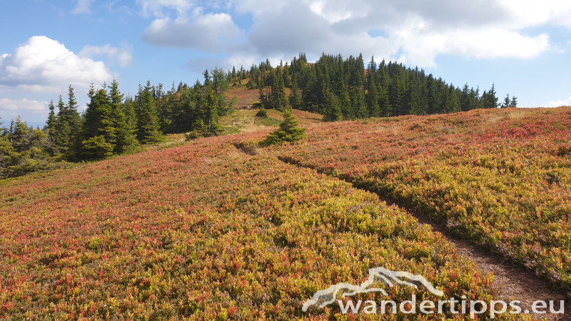 Rosenkogel/Lahneck Abbildung 20