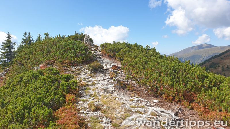 Rosenkogel/Lahneck Abbildung 5