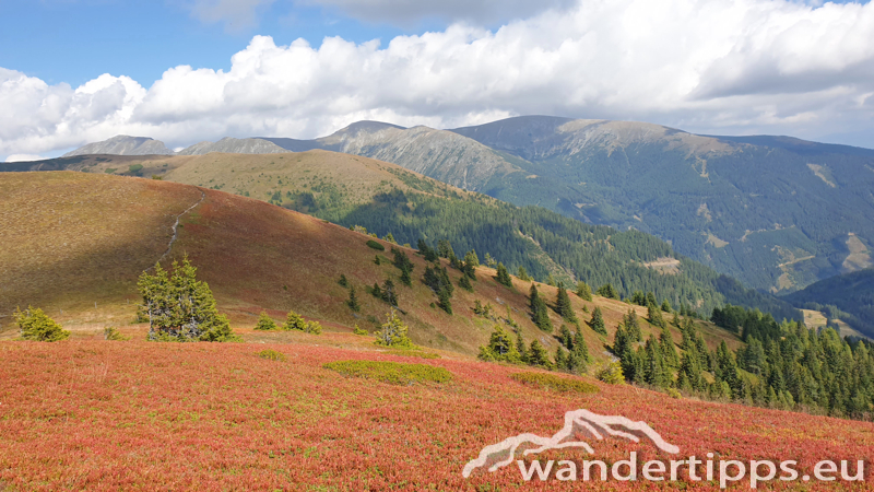 Rosenkogel/Lahneck Abbildung 8