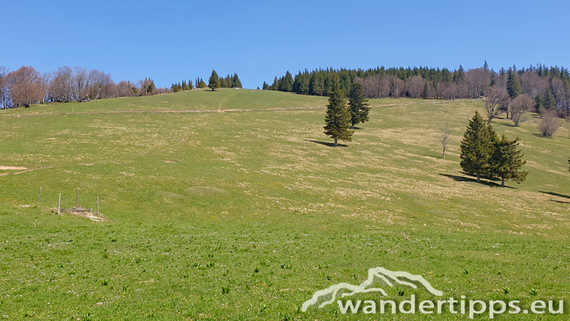 Reisalpe von Südwesten Abbildung 7