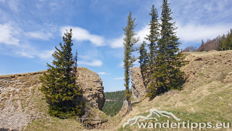 Reisalpe von Südwesten Abbildung 8