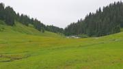 Schönenbach Abbildung 7
