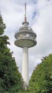 Exelberg Abbildung 12