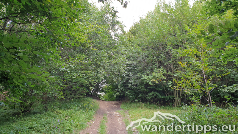 Exelberg Abbildung 11