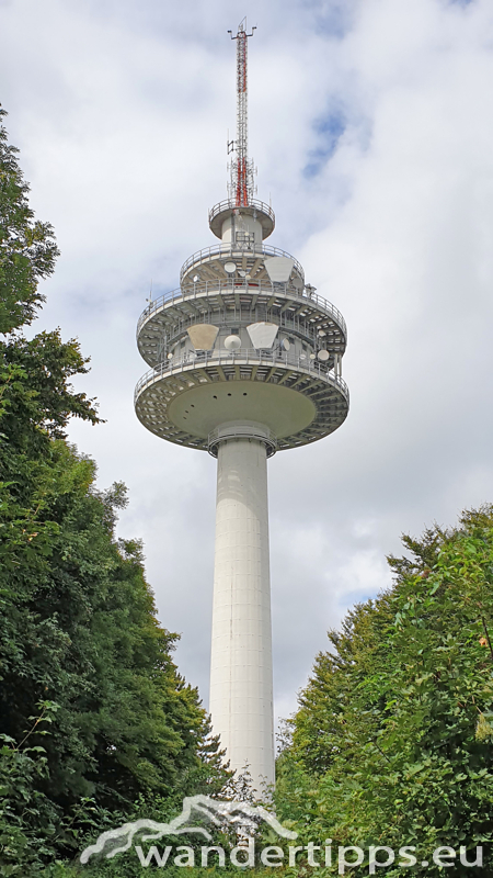 Exelberg Abbildung 12