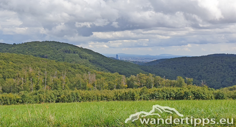 Exelberg Abbildung 17