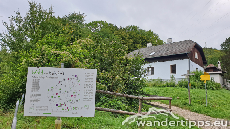 Exelberg Abbildung 3