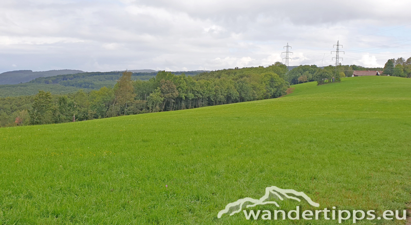 Exelberg Abbildung 7