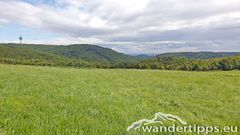 Exelberg Abbildung 8