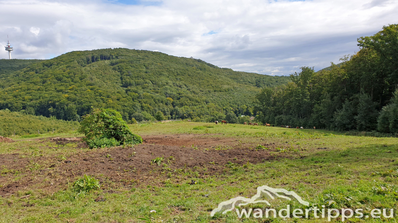 Exelberg Abbildung 9