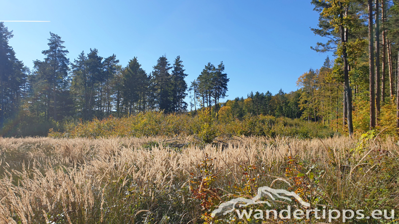 Rosalienkapelle Abbildung 4