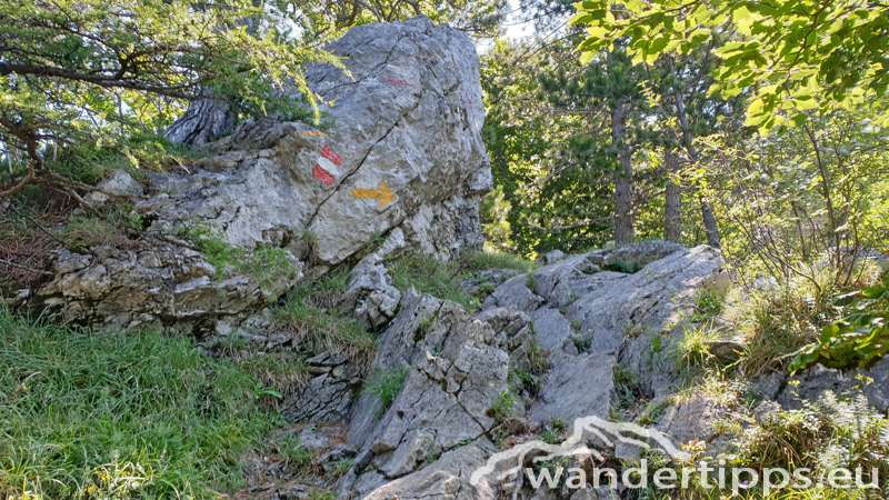 Hocheck von Westen Abbildung 11