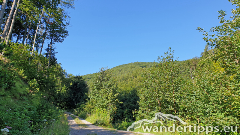 Hocheck von Westen Abbildung 3