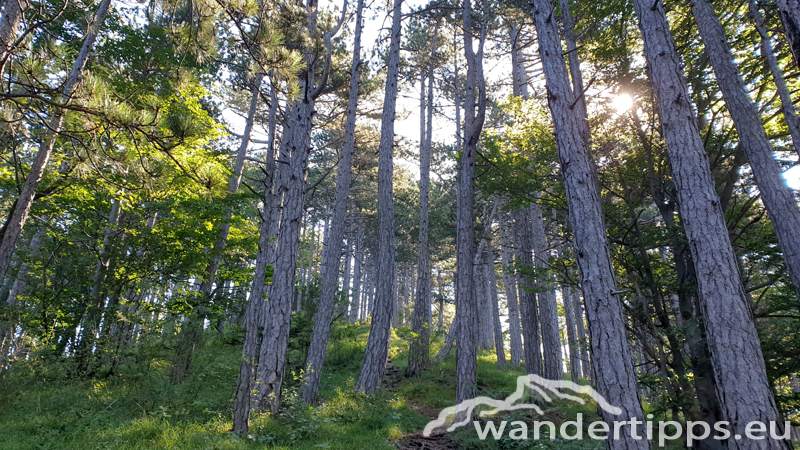 Hocheck von Westen Abbildung 5