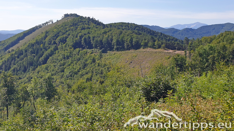 Hocheck von Westen Abbildung 9