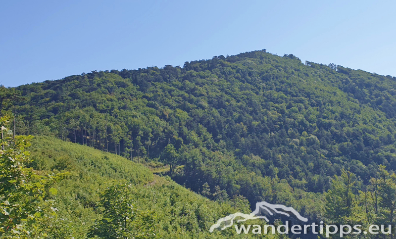 Hocheck von Westen Abbildung 10