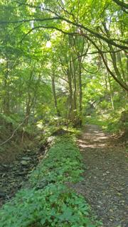 Friedrichfelsen/Hoher Stein/Rote Wand Abbildung 4