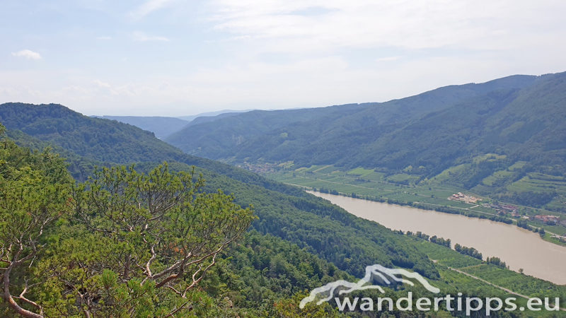 Friedrichfelsen/Hoher Stein/Rote Wand Abbildung 14