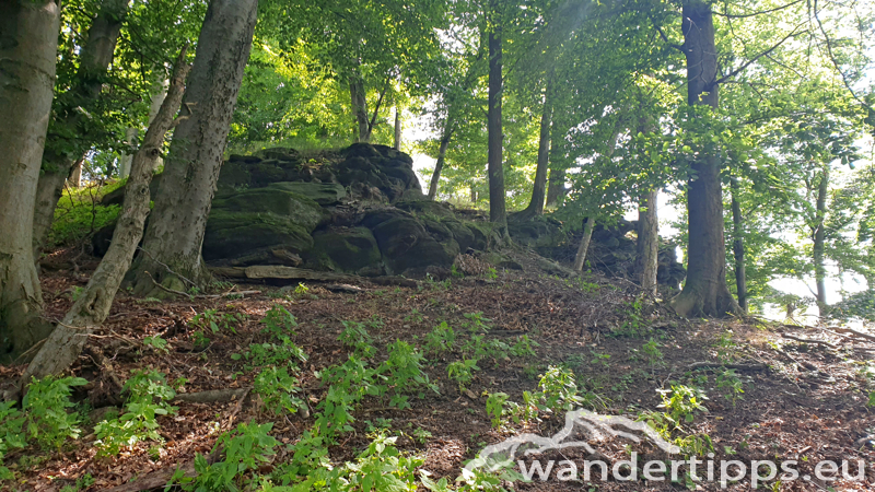 Friedrichfelsen/Hoher Stein/Rote Wand Abbildung 15