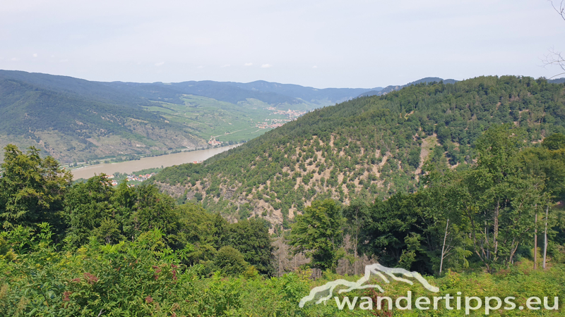 Friedrichfelsen/Hoher Stein/Rote Wand Abbildung 16