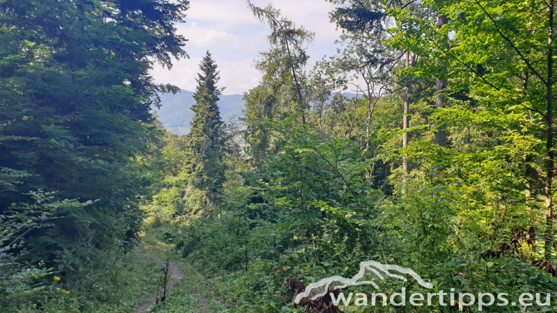 Friedrichfelsen/Hoher Stein/Rote Wand Abbildung 18