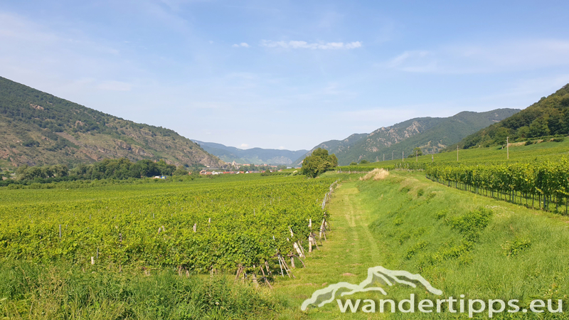 Friedrichfelsen/Hoher Stein/Rote Wand Abbildung 3