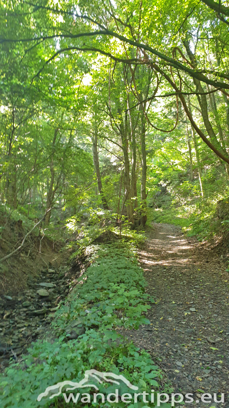 Friedrichfelsen/Hoher Stein/Rote Wand Abbildung 4