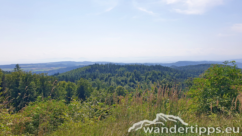 Friedrichfelsen/Hoher Stein/Rote Wand Abbildung 7