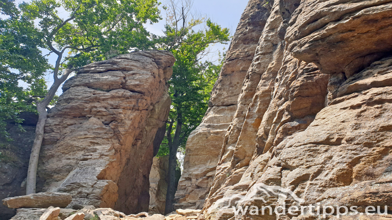 Friedrichfelsen/Hoher Stein/Rote Wand Abbildung 10