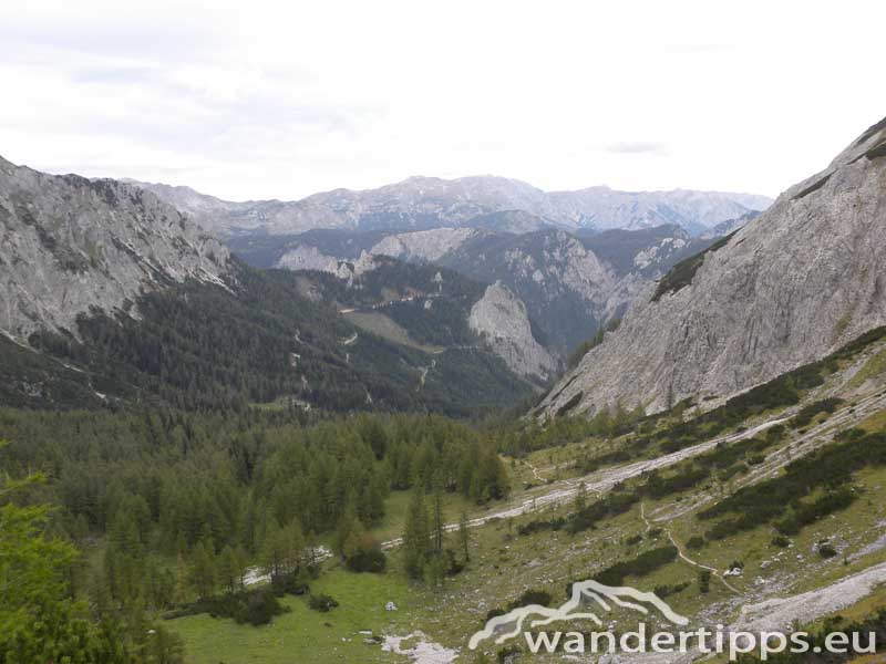 Polster Abbildung 10