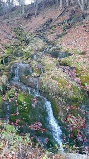 Hennesteck von Norden Abbildung 21