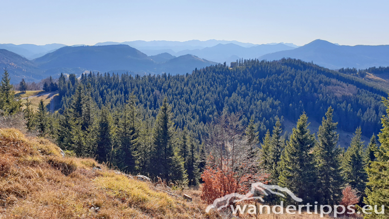 Hennesteck von Norden Abbildung 11