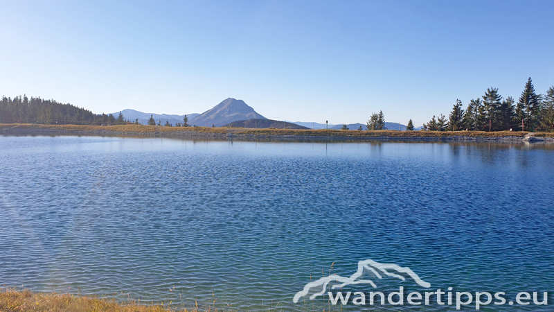 Hennesteck von Norden Abbildung 12