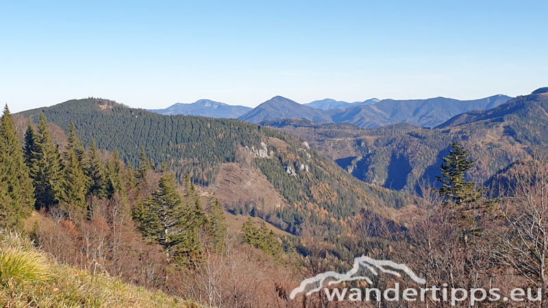 Hennesteck von Norden Abbildung 14