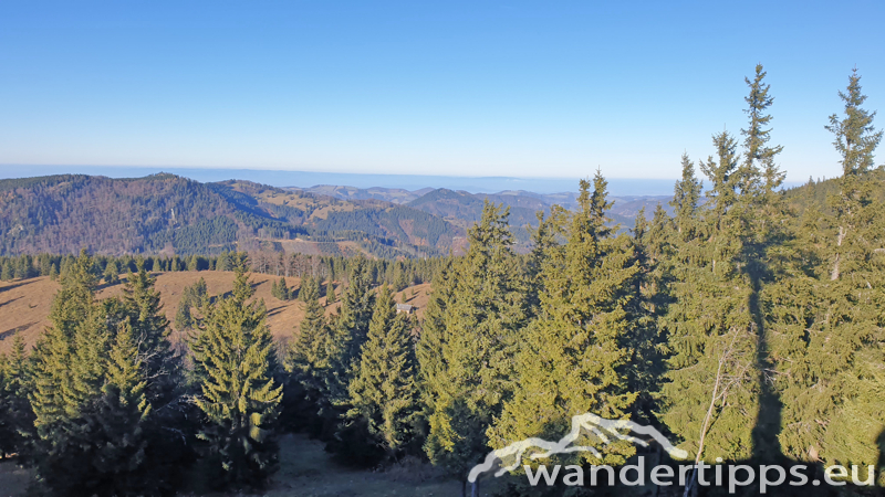 Hennesteck von Norden Abbildung 17