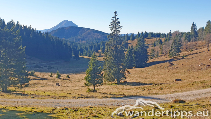 Hennesteck von Norden Abbildung 18
