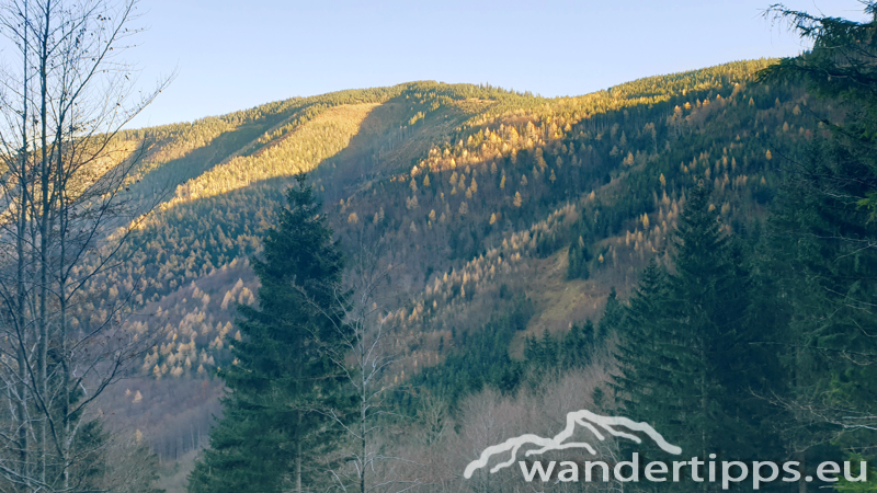 Hennesteck von Norden Abbildung 20