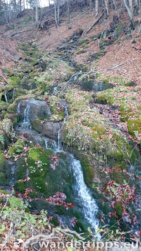 Hennesteck von Norden Abbildung 21